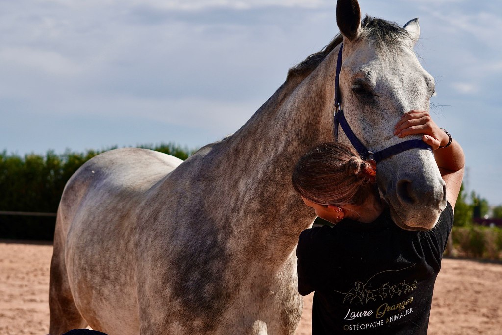 Laure Granger ostéopathe avec cheval gris